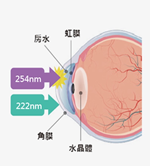 222奈米波長不穿透眼睛, 高安全性