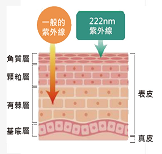 222奈米波長部穿透皮膚, 對人體安全最高